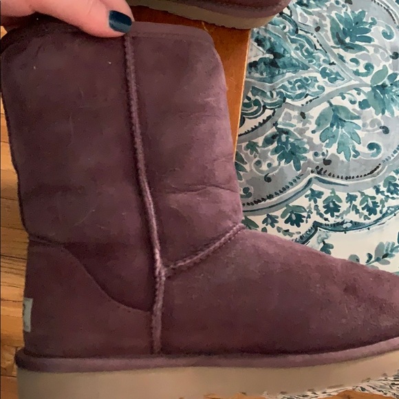 PURPLE SHORT UGGS - Picture 6 of 10